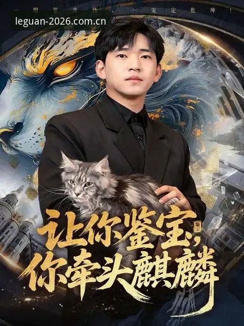 从菜鸟到高手：资深用户陈远航亲授乐冠国际真人对战实战心得