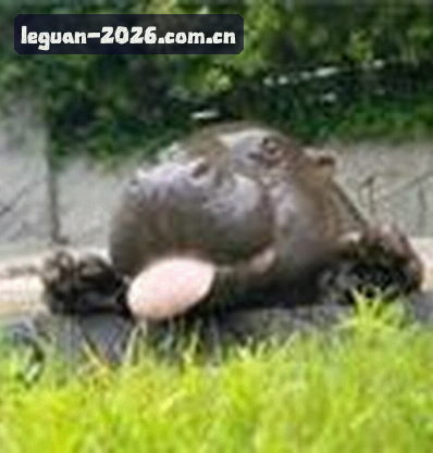 张伟